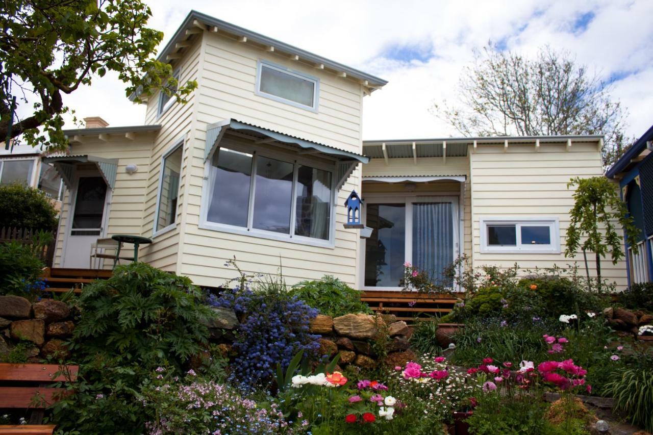 Lotti'S House Villa Albany Exterior photo